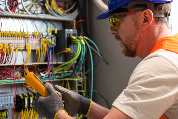 Best Electric Panel Repair  in Waupun, WI